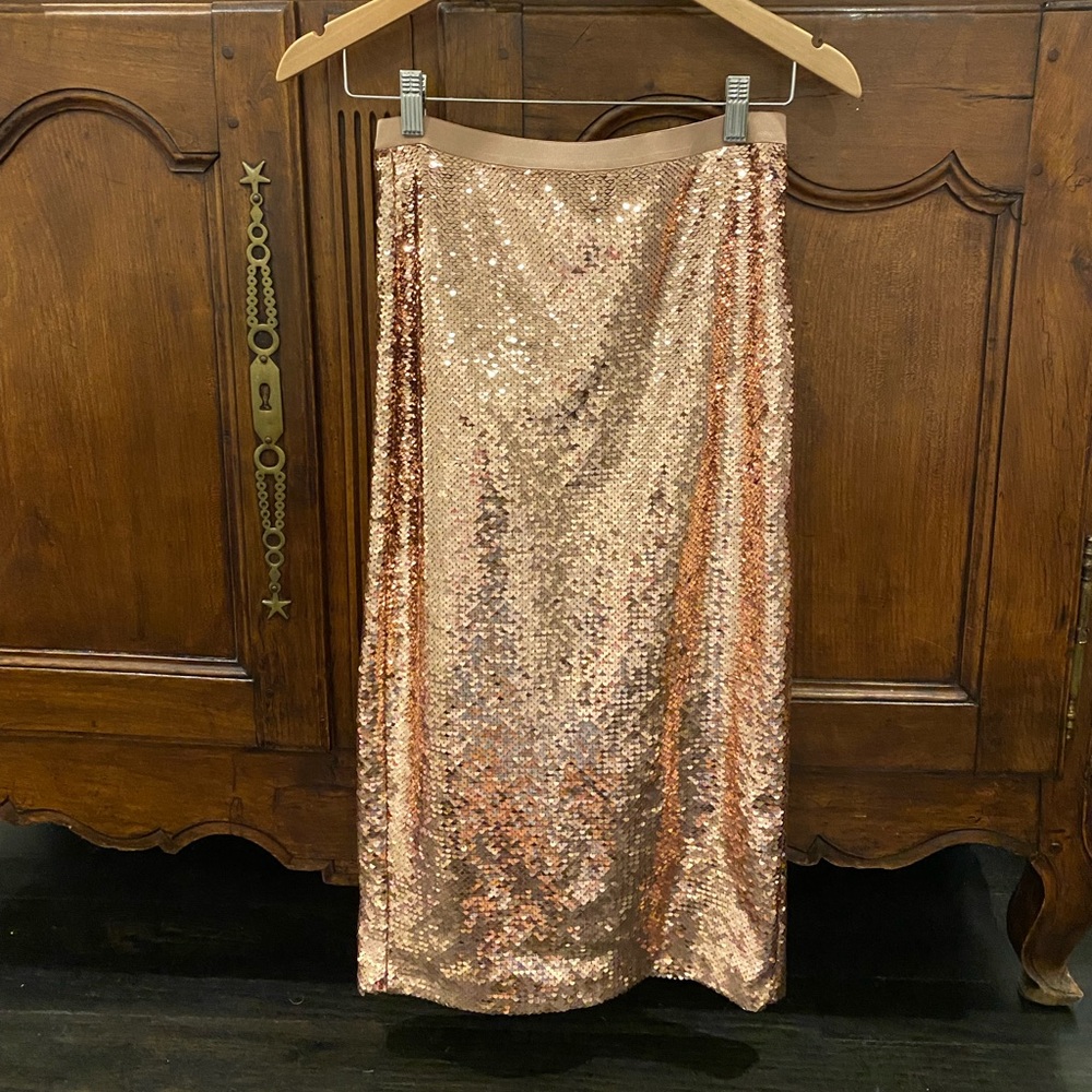 Cami NYC Sequin Skirt